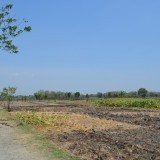 30. Photo Existing (Lahan Yang Dikembangkan).JPG